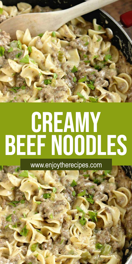 Creamy Beef Noodles - Enjoy The Recipes